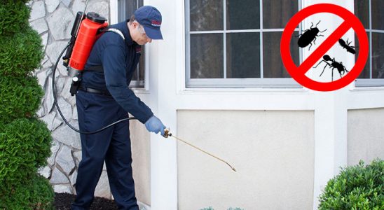 Ilgın Hamam Böceği İlaçlama böcek ilaçlama ve haşere kontrolü — ilaclama-tr.com